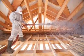 Best Eco-Friendly or Green Insulation Solutions  in Schler Park, IL