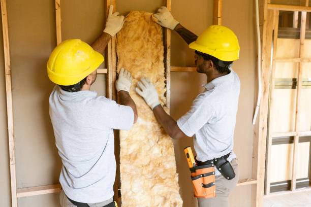 Professional Insulation Installation & Removal in Schiller Park, IL